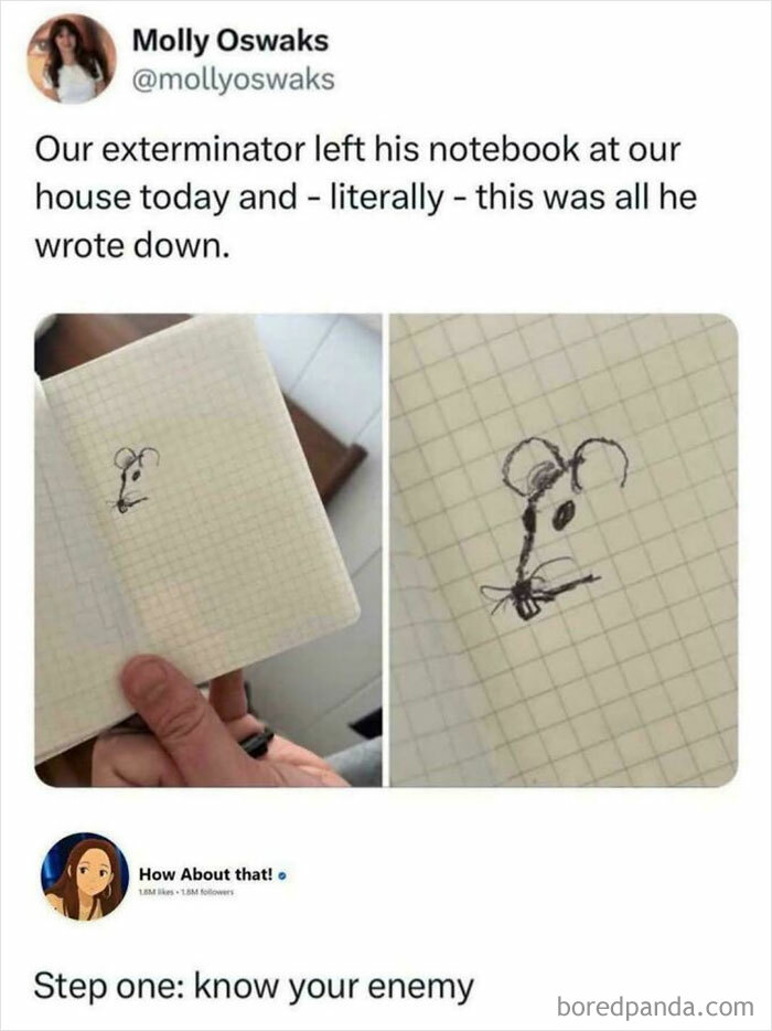 Hand-drawn mouse sketch in exterminator’s notebook from chaotic non-political tweets that made the internet fun again.