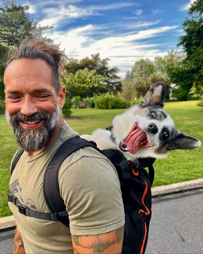 Bearded man smiling outdoors with happy dog in a backpack enjoying city adventures on a sunny day.