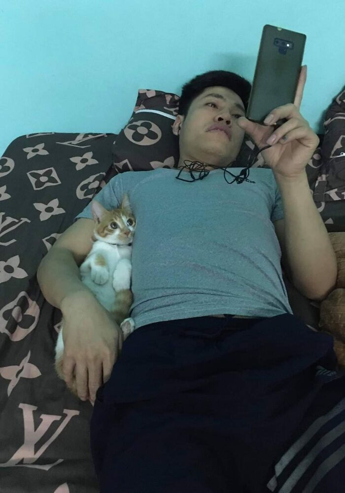 Man lying on bed holding phone while a cat cuddles closely beside him in a hilarious moment caught on camera