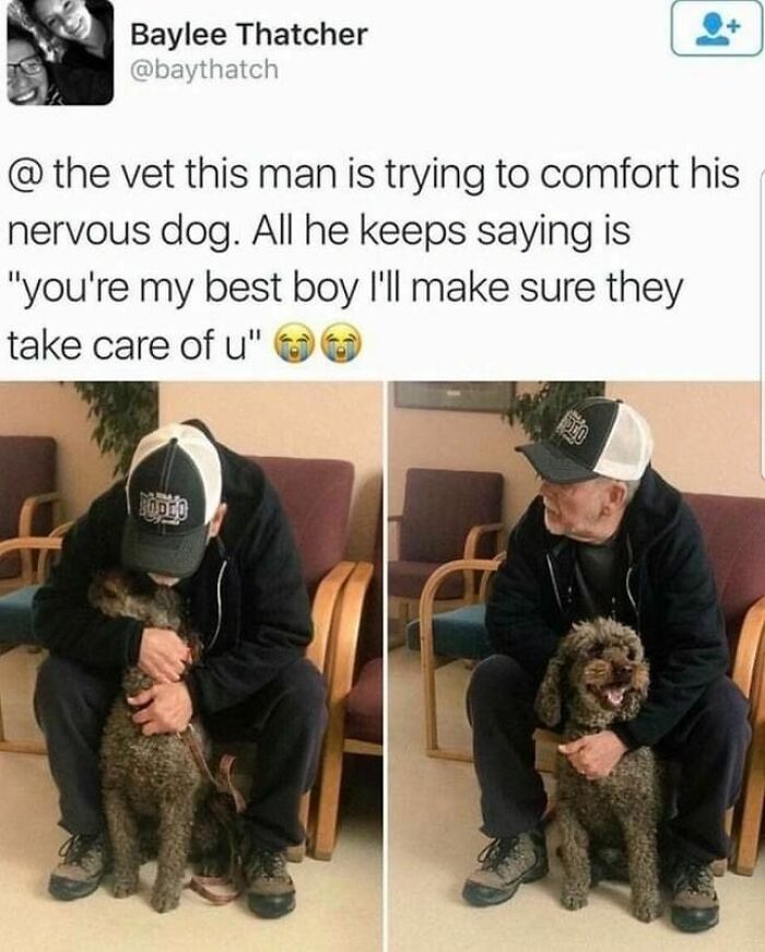 Man comforting his nervous dog at the vet, showing affection in a waiting room in a heartwarming cute dogs posts moment.