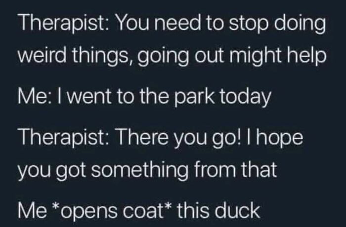 Funny animal meme text about a therapist and a person sharing a story involving a duck, part of cute and sweet animal memes.
