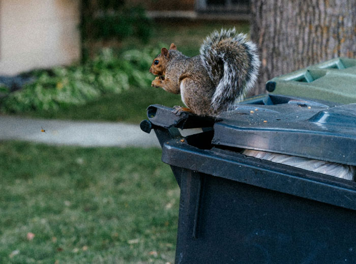 “I Still Think About It To This Day”: 52 Times People Witnessed Nearly Unbelievable Things