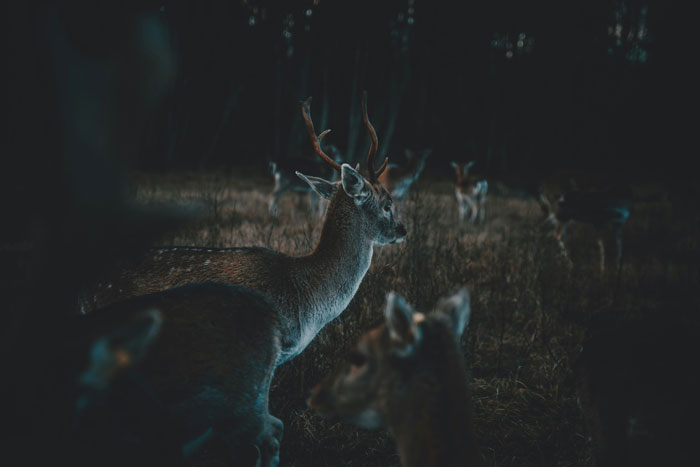 “I Still Think About It To This Day”: 52 Times People Witnessed Nearly Unbelievable Things