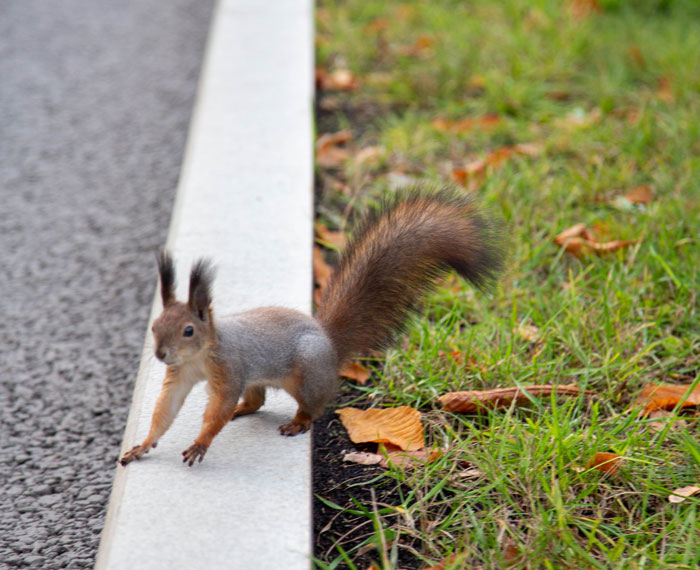 “I Still Think About It To This Day”: 52 Times People Witnessed Nearly Unbelievable Things