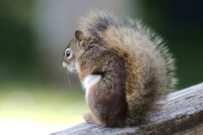 “I Still Think About It To This Day”: 52 Times People Witnessed Nearly Unbelievable Things