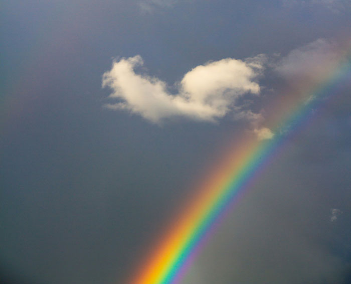 “I Still Think About It To This Day”: 52 Times People Witnessed Nearly Unbelievable Things