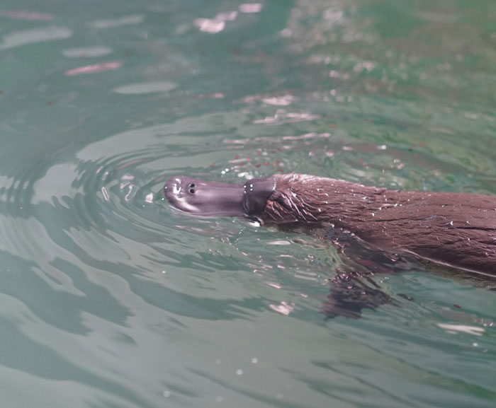 “I Still Think About It To This Day”: 52 Times People Witnessed Nearly Unbelievable Things