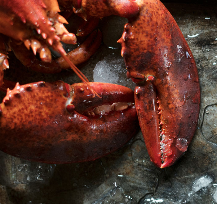 Close-up of lobster claws on ice, featured as a white elephant gift idea that sparked playful competition among friends.