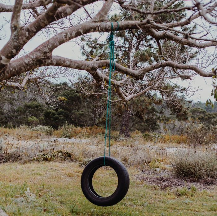 Tire swing hanging from a tree branch in the woods with dry grass and scattered bushes around the area.