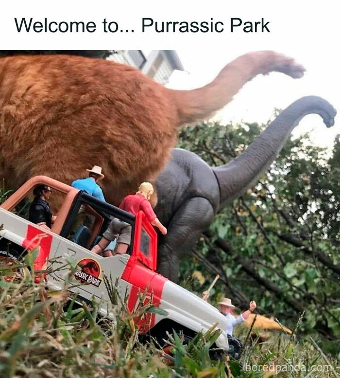 Cat meme featuring a large orange cat with toy dinosaurs and a Jurassic Park vehicle in a chaotic outdoor scene.