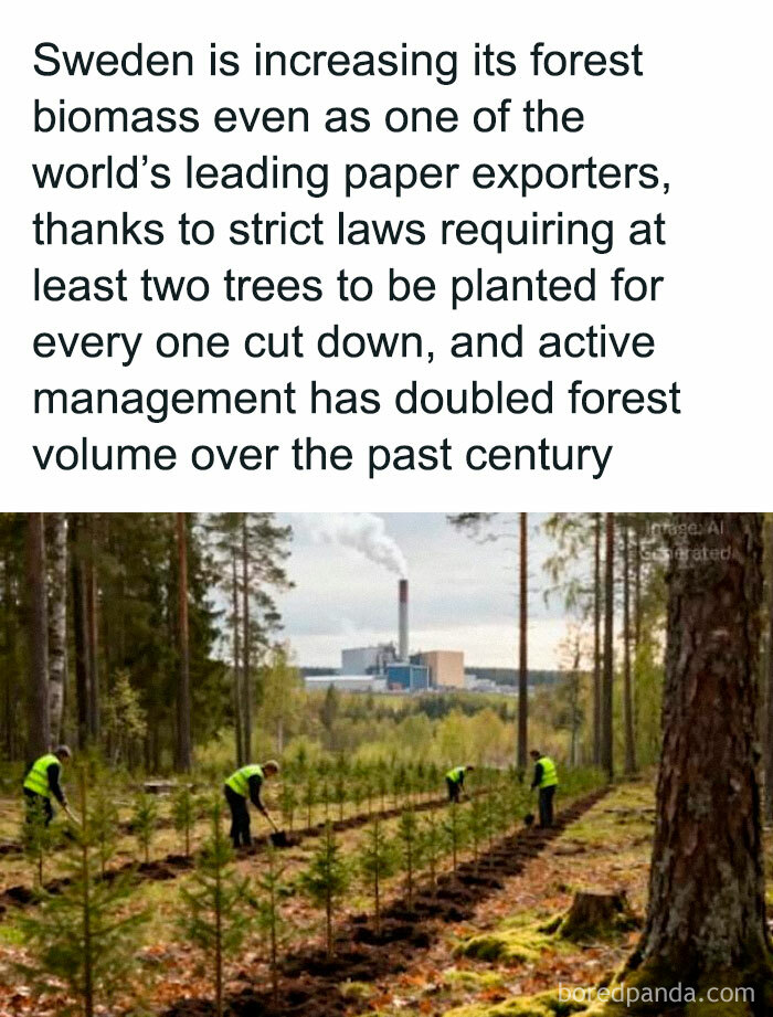 Workers in high-visibility vests planting trees in a forest, illustrating existence, reality, and the universe of nature management.