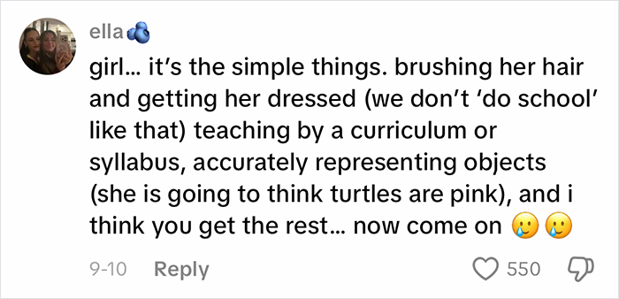 Comment discussing unconventional homeschooling methods sparking viral debate on parenting choices and education approaches.