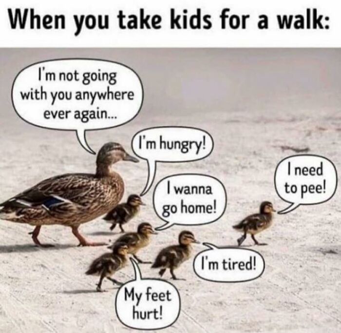 Duck parent and ducklings on a walk, each expressing relatable complaints typical of parents going through it with kids.