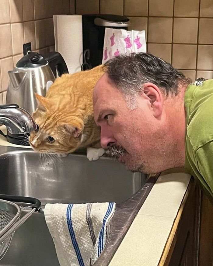 Man and orange cat both drinking water from kitchen sink faucet in a funny hilarious moment caught on camera.