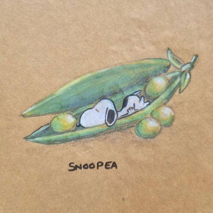 Drawing of Snoopy sleeping inside a pea pod pun on a lunch bag, illustrating creative dad jokes and puns.