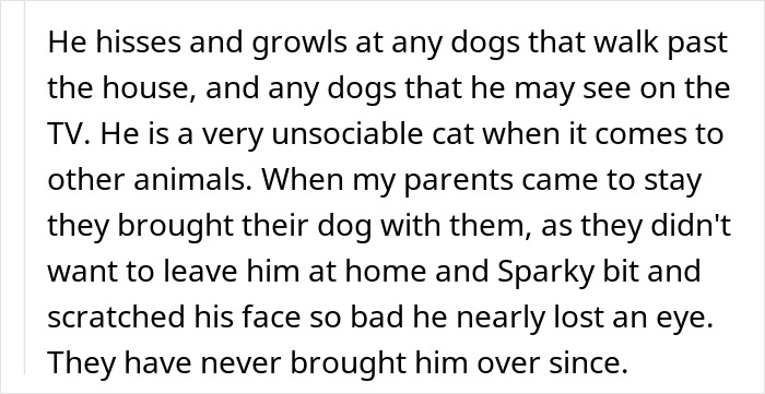 Text excerpt describing an upset woman wanting a dog but unable due to her old cat's aggressive behavior toward dogs. Text excerpt describing an upset woman wanting a dog but unable due to her old cat's aggressive behavior toward dogs.