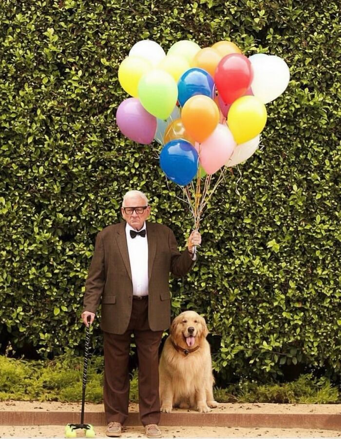 Elderly man in suit holding colorful balloons with a golden retriever, a hilarious moment caught on camera outdoors.