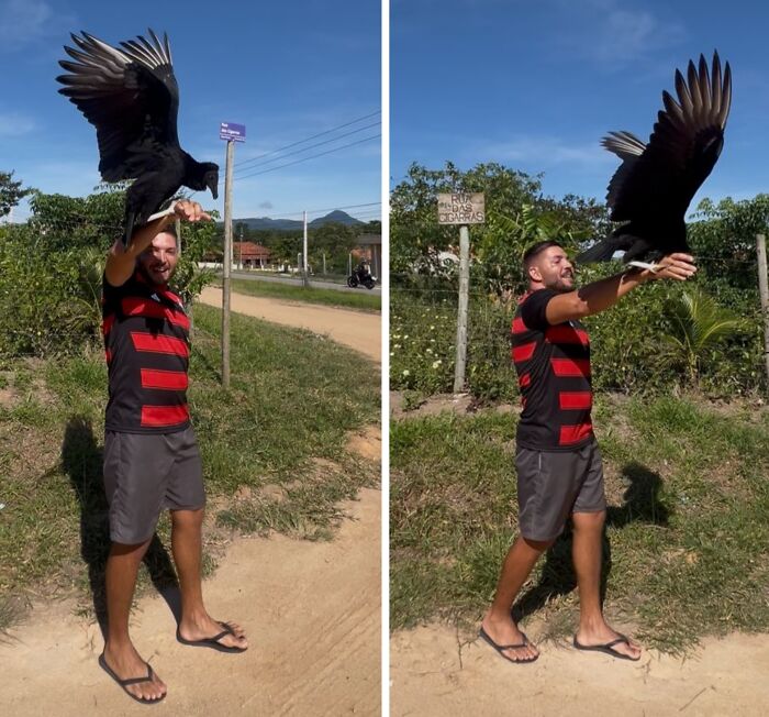 Man in casual clothes outdoors with a wild vulture perched on and flying from his arm, showing strong human-vulture bond.
