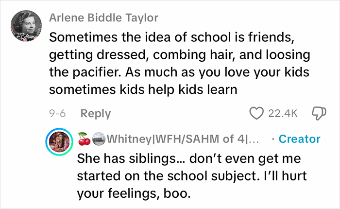 Screenshot of a viral homeschool social media comment thread sparking debate on parenting choices and education methods.