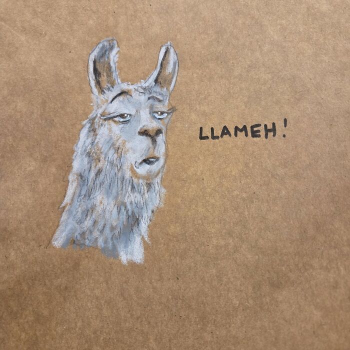 Illustration of a llama with the caption LLAMEH, one of the dad jokes drawn on kids’ lunch bags.