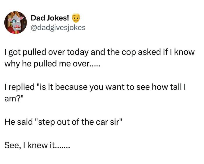 Tweet from Dad Jokes sharing a sarcastic funny post about being pulled over by a cop, highlighting humor and sarcasm.