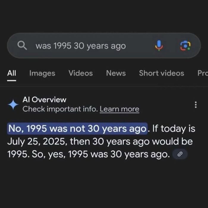 Search result showing AI incorrectly contradicting that 1995 was 30 years ago in a humorous sarcasm post.