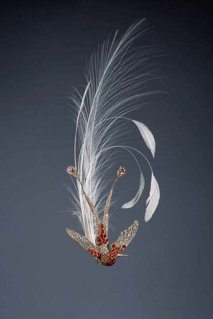 Intricate vintage bird brooch with feathers showcasing culture and everyday life in powerful old photos from the past.