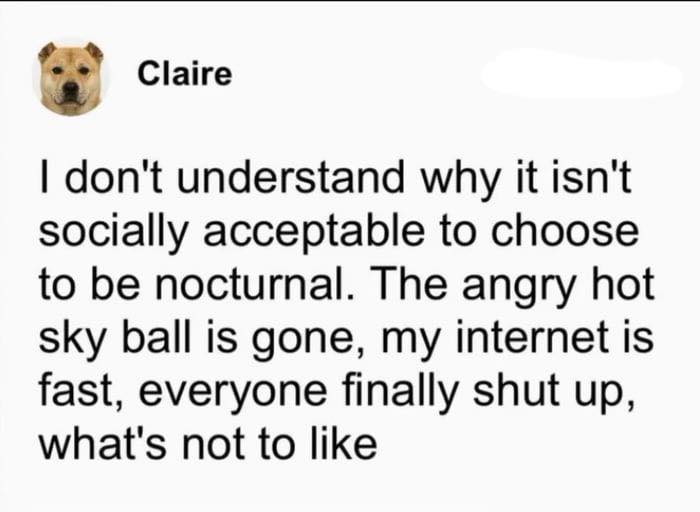 Funny sarcasm post about preferring nocturnal lifestyle with fast internet and quiet nights, highlighting humor and collective brain cell.