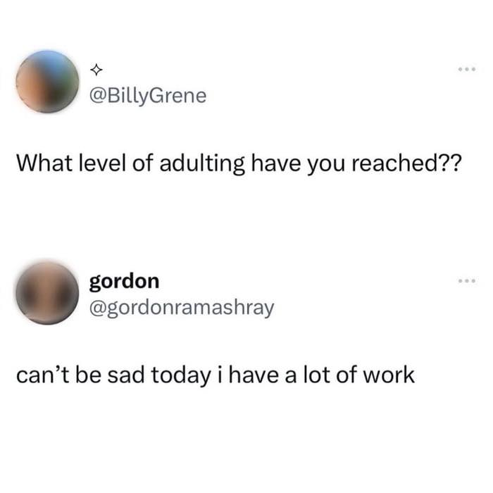 Social media post exchange showing humor about adulting levels and coping with work, highlighting sarcasm and funny posts.