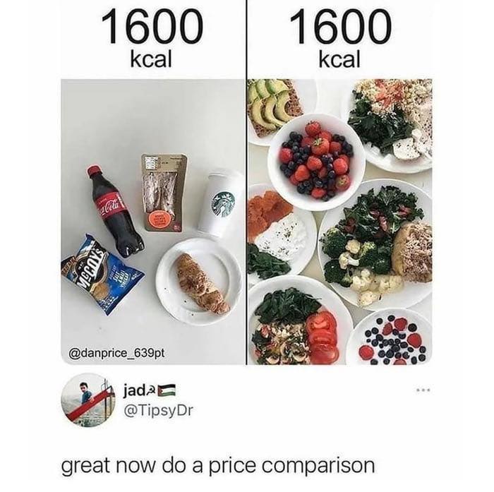 Comparison of 1600 kcal meals showing processed snacks and sugary drinks versus healthy fruits and vegetables, sarcasm humor.