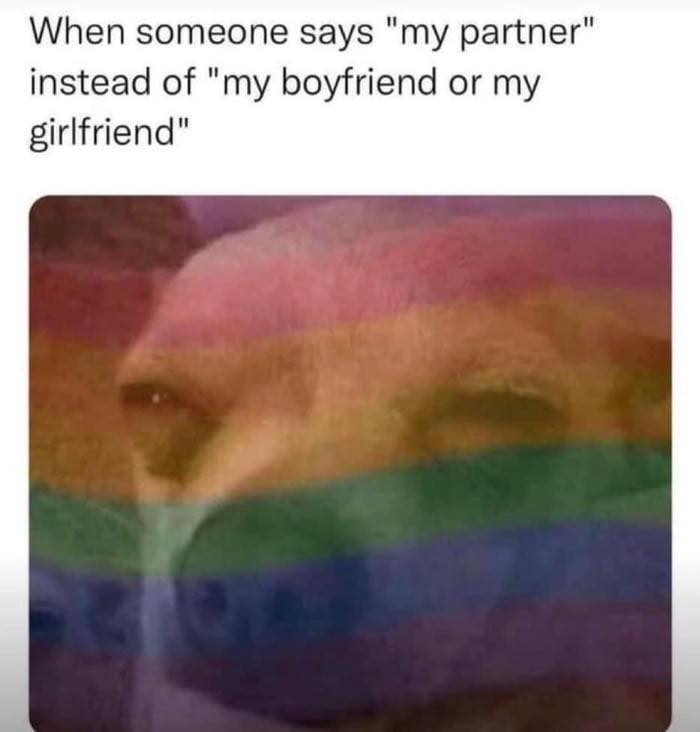 Sarcasm humor meme showing a confused face behind a rainbow flag, highlighting funny humanity and one collective brain cell moments.