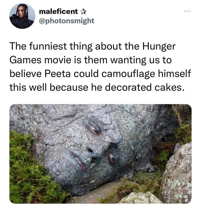 Tweet humor about Hunger Games movie camouflage with an image of a stone face blending into natural surroundings, movie memes theme.