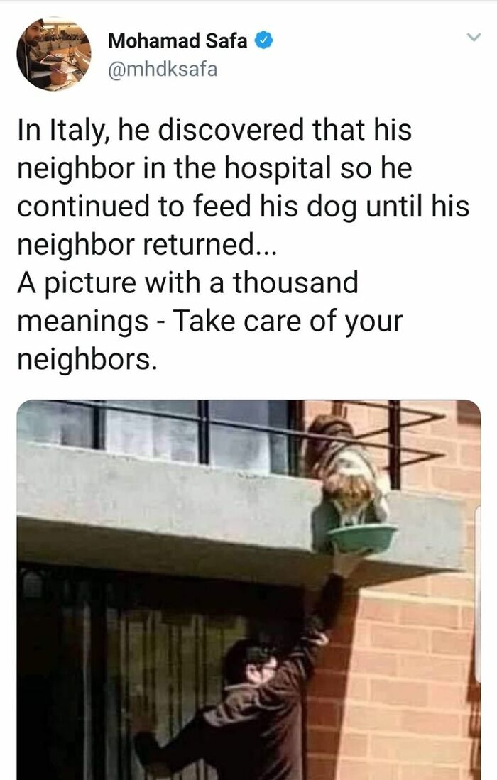 Man feeding a dog on a balcony, showing kindness and care in a heartfelt cute dogs posts moment.
