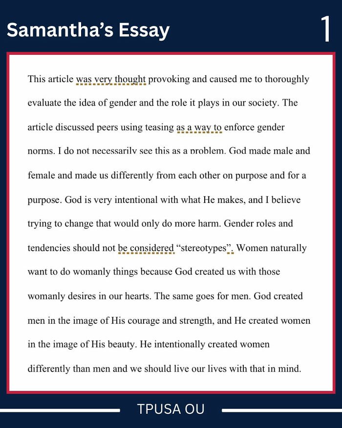 Essay excerpt discussing gender roles and Bible references, related to trans instructor and student gender essay conflict.