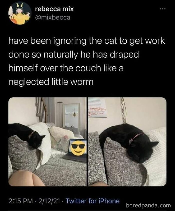 Tweet about ignoring a cat who drapes over the couch like a neglected worm, showcasing cheerful memes about wasting time online.