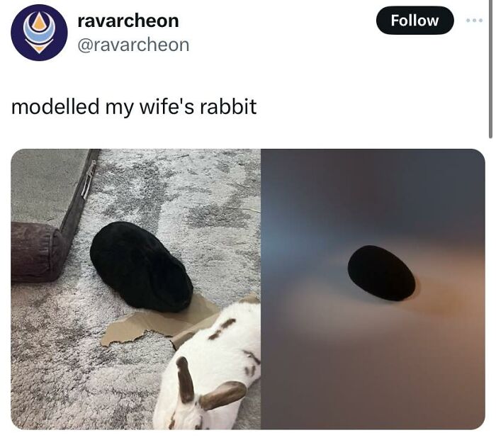 Black rabbit resembling a smooth black stone next to a white and brown spotted rabbit, illustrating cheerful memes online.