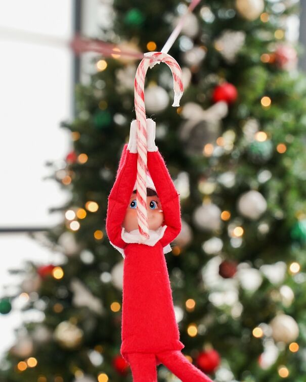 Elf on the shelf doll hanging from a candy cane with a decorated Christmas tree blurred in the background.
