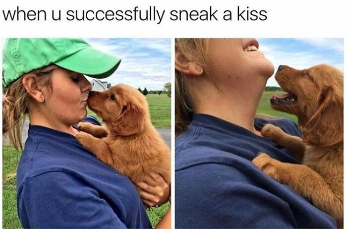 Woman in green cap and blue shirt holding a cute dog giving kisses in an outdoor setting for cute dogs posts.