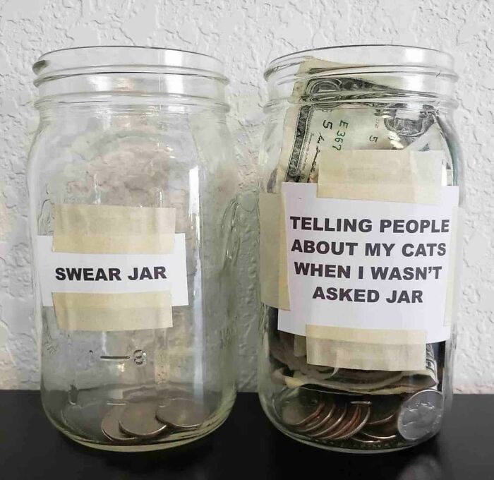 Two glass jars on a table labeled for saving money, one for swearing and one for talking about cats, cute animal meme.