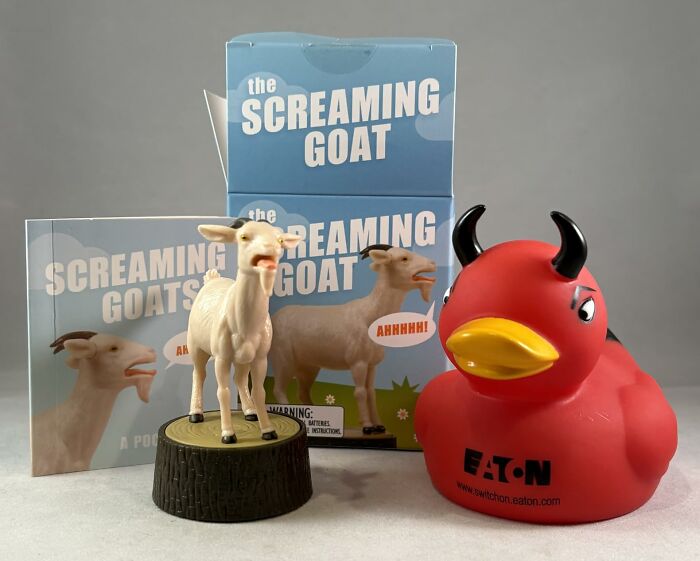 The Internal, Existential Scream Of Every 12-Year-Old Has Been Perfectly Captured And Bottled In The Form Of The Screaming Goat 