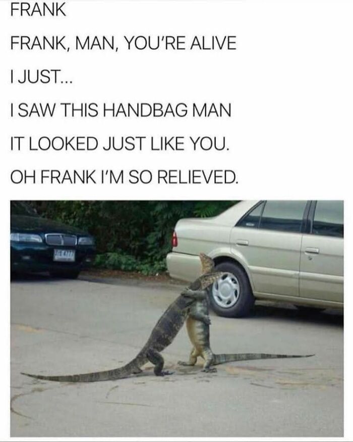 Two lizards standing and hugging in a parking lot with a funny meme about seeing a handbag man, cute animal content.