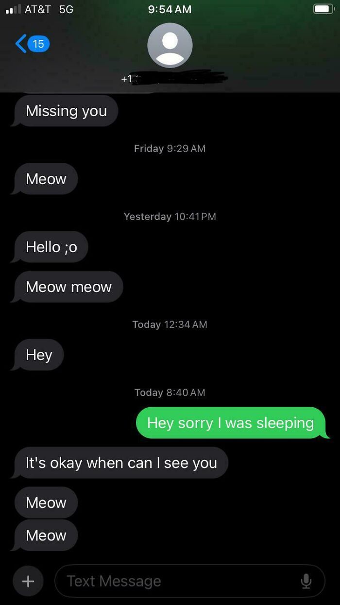 Text message conversation showing hilarious texts with repeated meows and a playful tone in funny text messages people still think about.