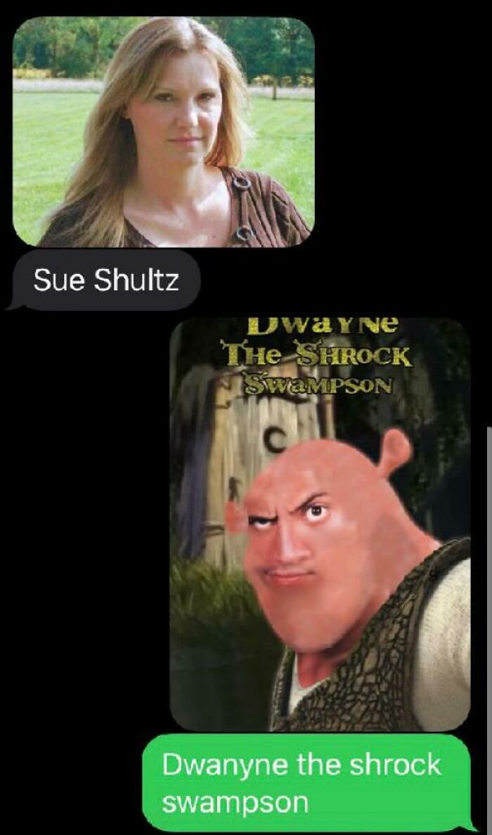 Hilarious text message exchange featuring a funny altered image of Dwayne Johnson as Shrek in a viral meme format.