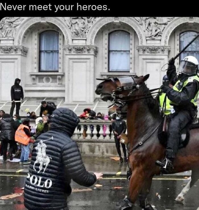 Person wearing a Polo jacket facing a rearing police horse during a street protest, capturing a funny and surprising moment.