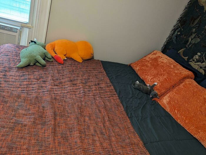 Tiny cat lying on a large bed next to orange pillows and stuffed animals in a spacious bedroom setting.