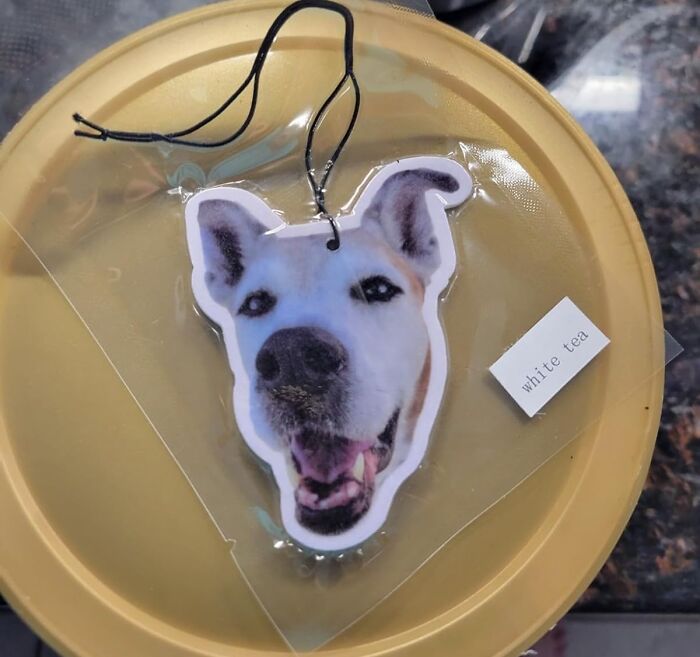 Dog face air freshener with white tea scent, a fun and unique white elephant gift idea for holiday exchanges.