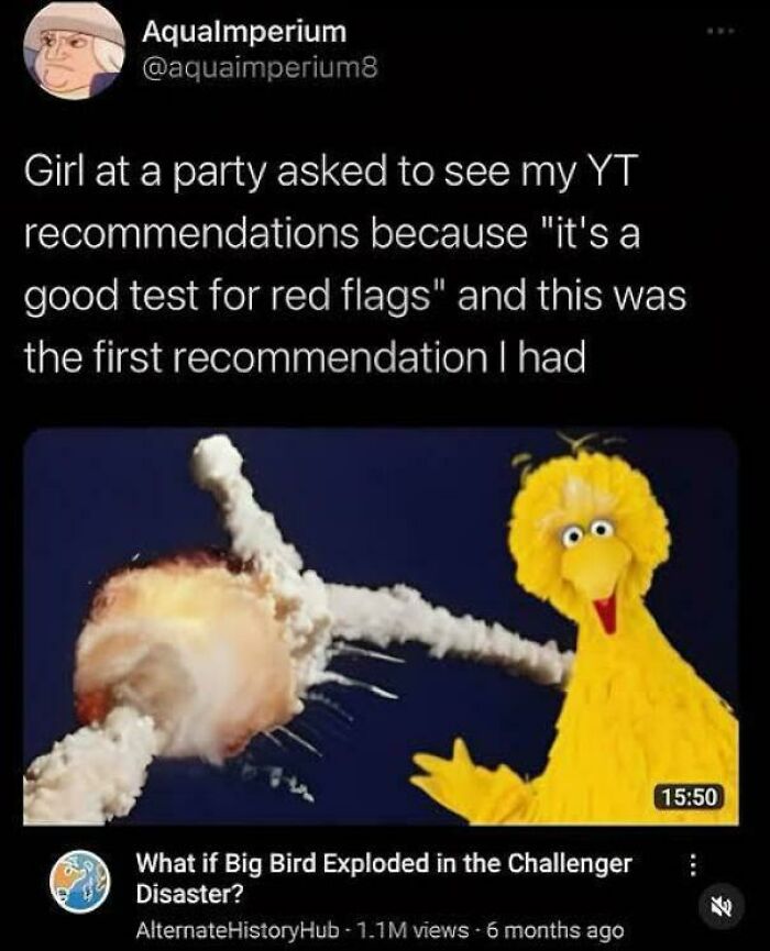 Tweet showing chaotic internet humor with a YouTube recommendation about Big Bird and the Challenger disaster.