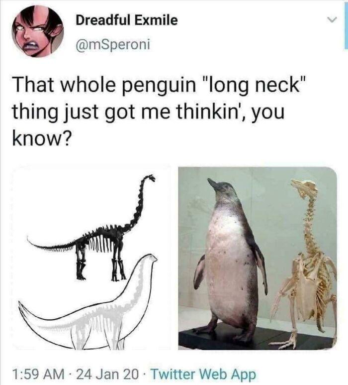 Tweet humor about penguin long neck theory with funny dinosaur and penguin skeleton images from chaotic non-political tweets.