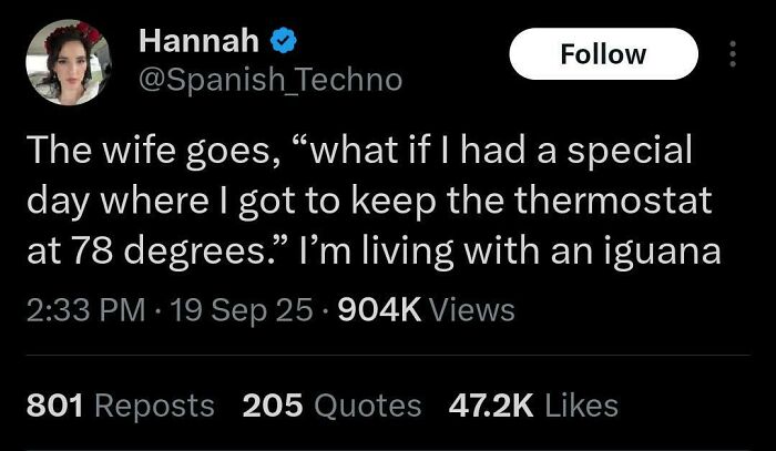 Screenshot of a chaotic non-political tweet about thermostat temperature and living with an iguana, showing engagement stats.