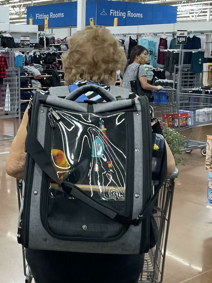 Woman in Walmart pushing cart wearing a backpack with a bird inside, showing unusual scenes in Walmart stores.